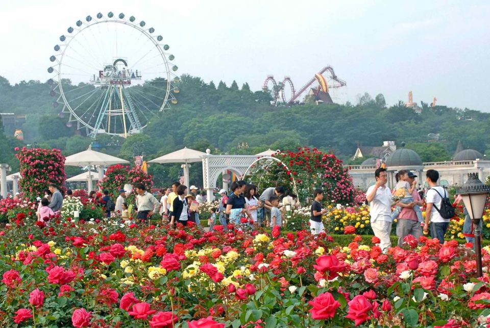 Everland Park Korea