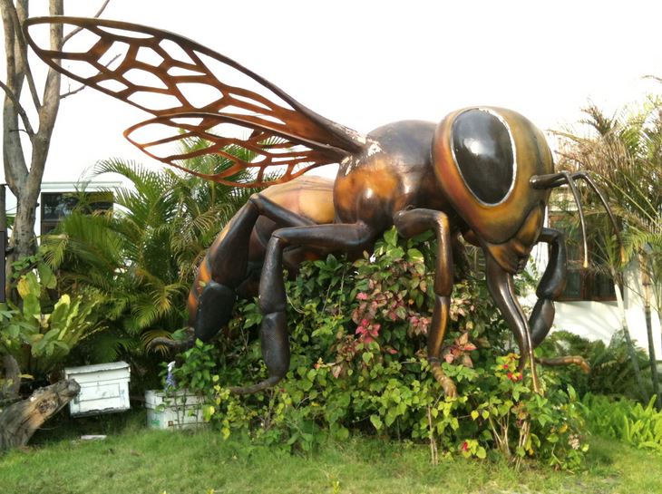 Bee Farm Pattaya