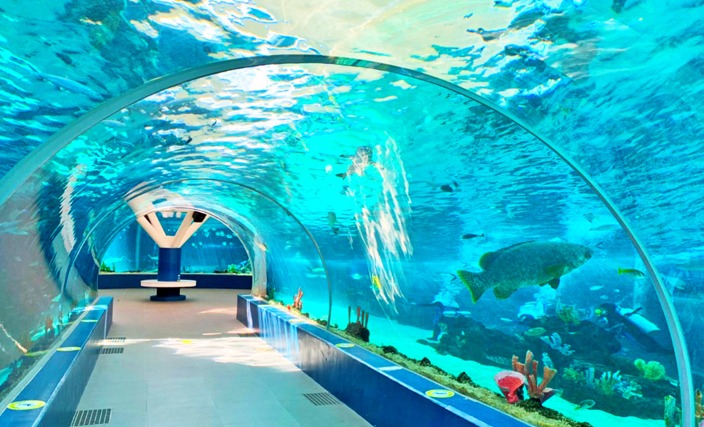 Cebu with Oceanpark Tour Package