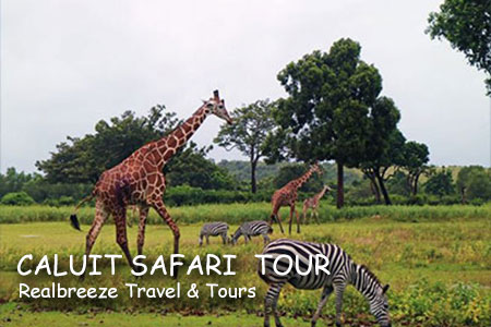 Caluit Safari Tour