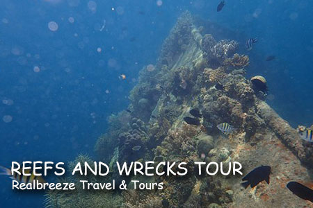 Reefs and Wrecks Tour, Coron Palawan