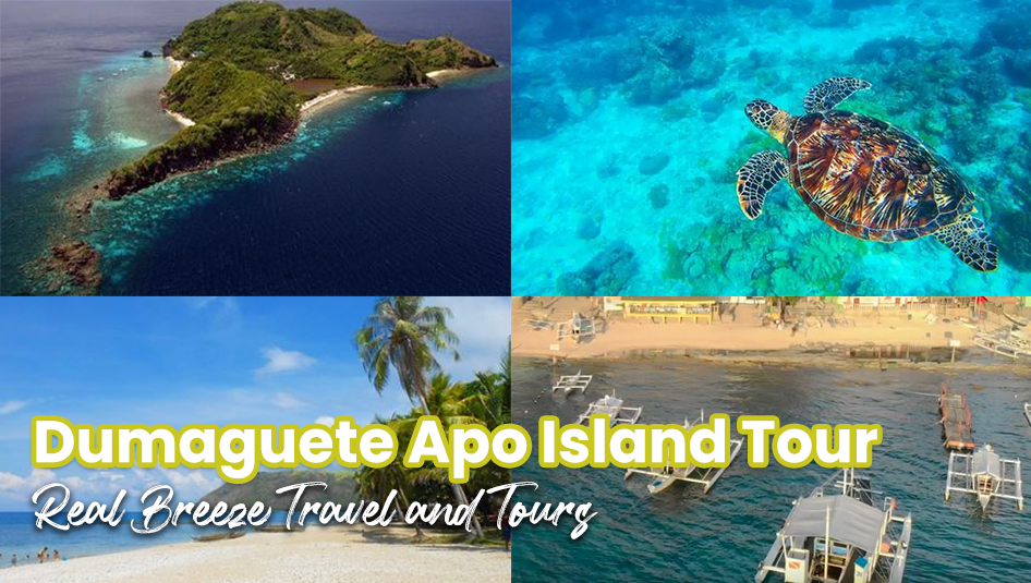 Dumaguete Apo Island Tour