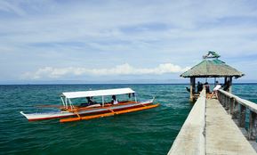 Dumaguete Apo Island 