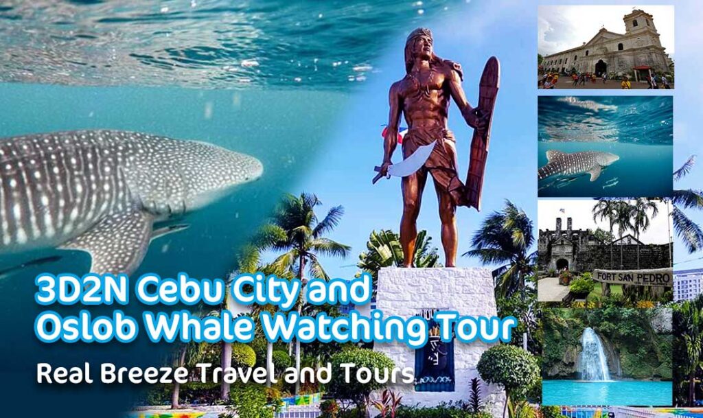 tour package price in cebu